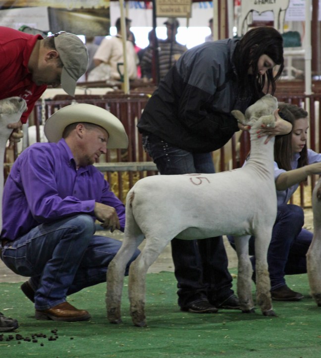 A&M Ranch Sale Consignment