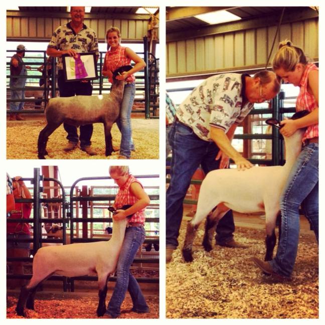 1044747_10200153826756209_1357237191_n